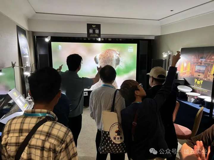 雄云(智能•影音•视听)